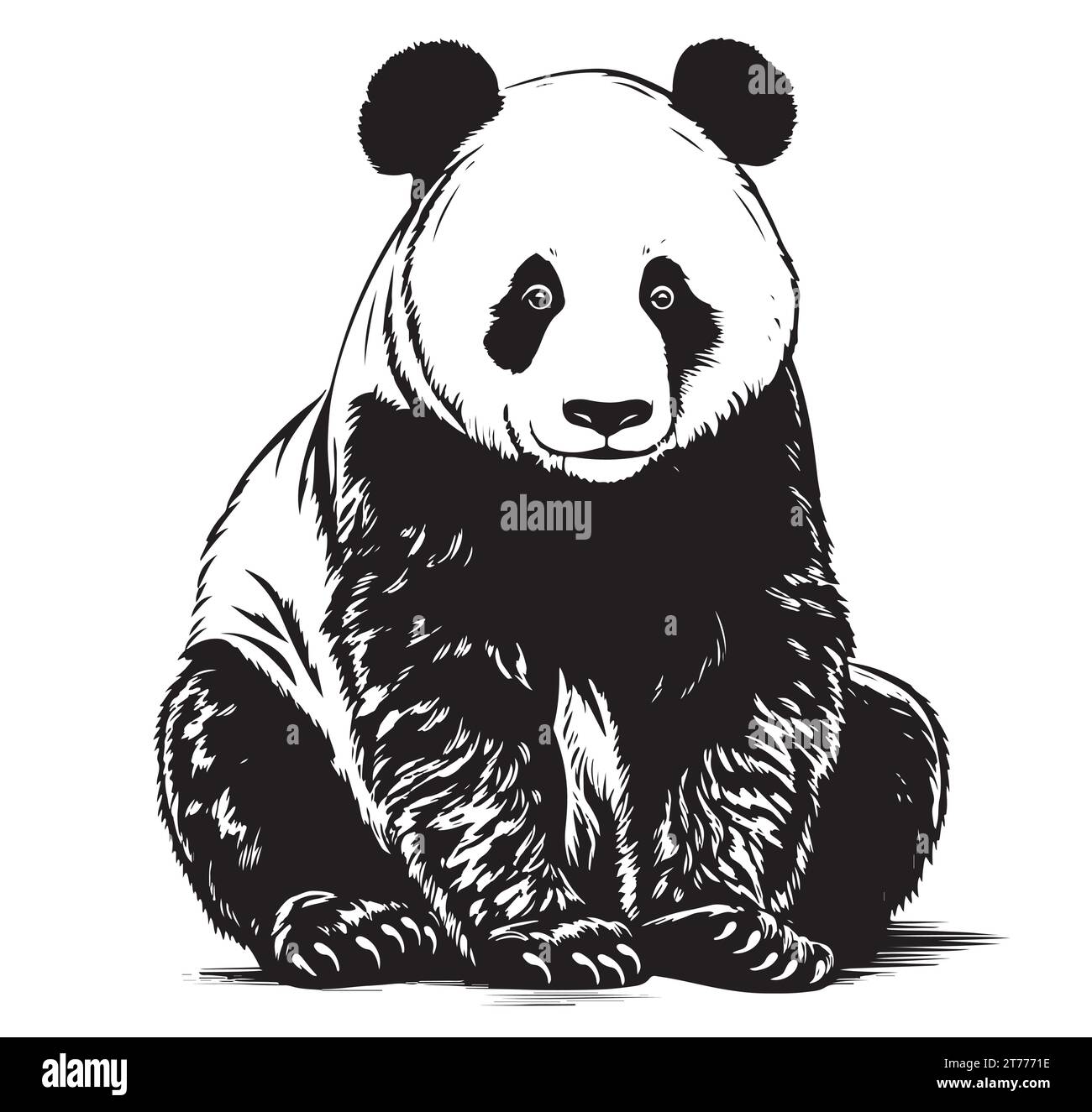 Panda hand drawn sketch Vector illustration, Wild animals .signs and ...