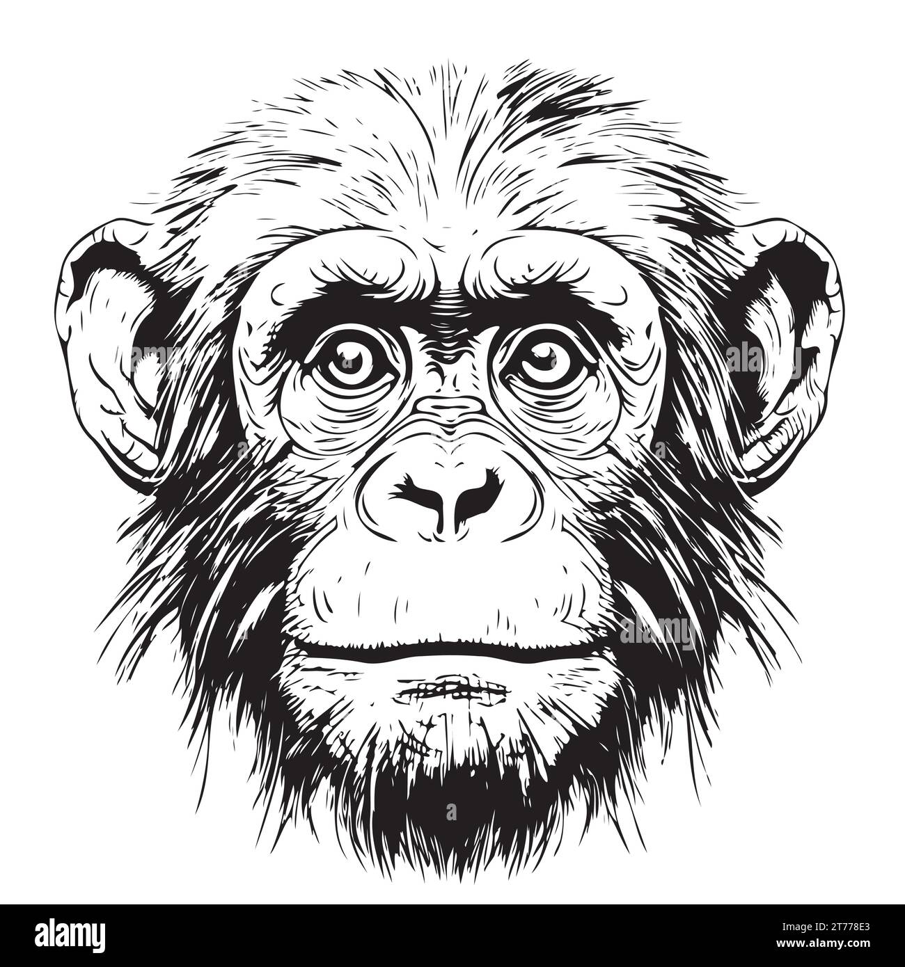 Monkey face sketch hand drawn in doodle style illustration Cartoon Stock Vector