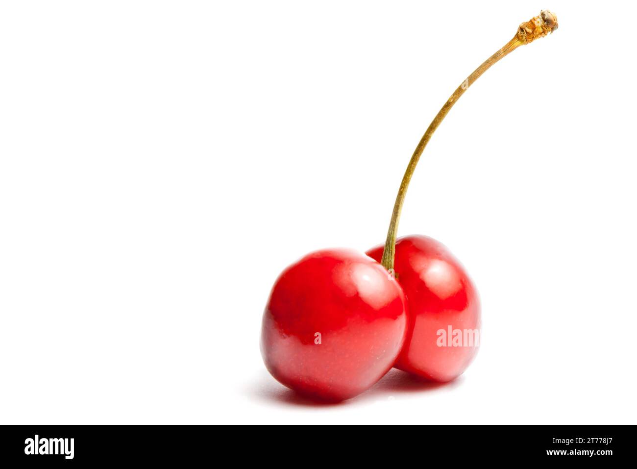 twin cherries with space for text on white background Stock Photo Alamy