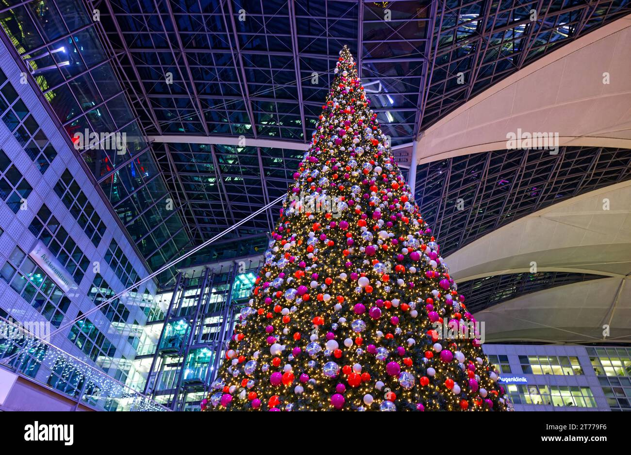 Vorfreude auf die Festtage. Der große Christbaum im Weihnachts- und Wintermarkt des Münchner Flughafens. München Bayern Deutschland *** Looking forward to the festive season The large Christmas tree in the Christmas and winter market at Munich Airport Munich Bavaria Germany Copyright: xRolfxPossx Credit: Imago/Alamy Live News Stock Photo