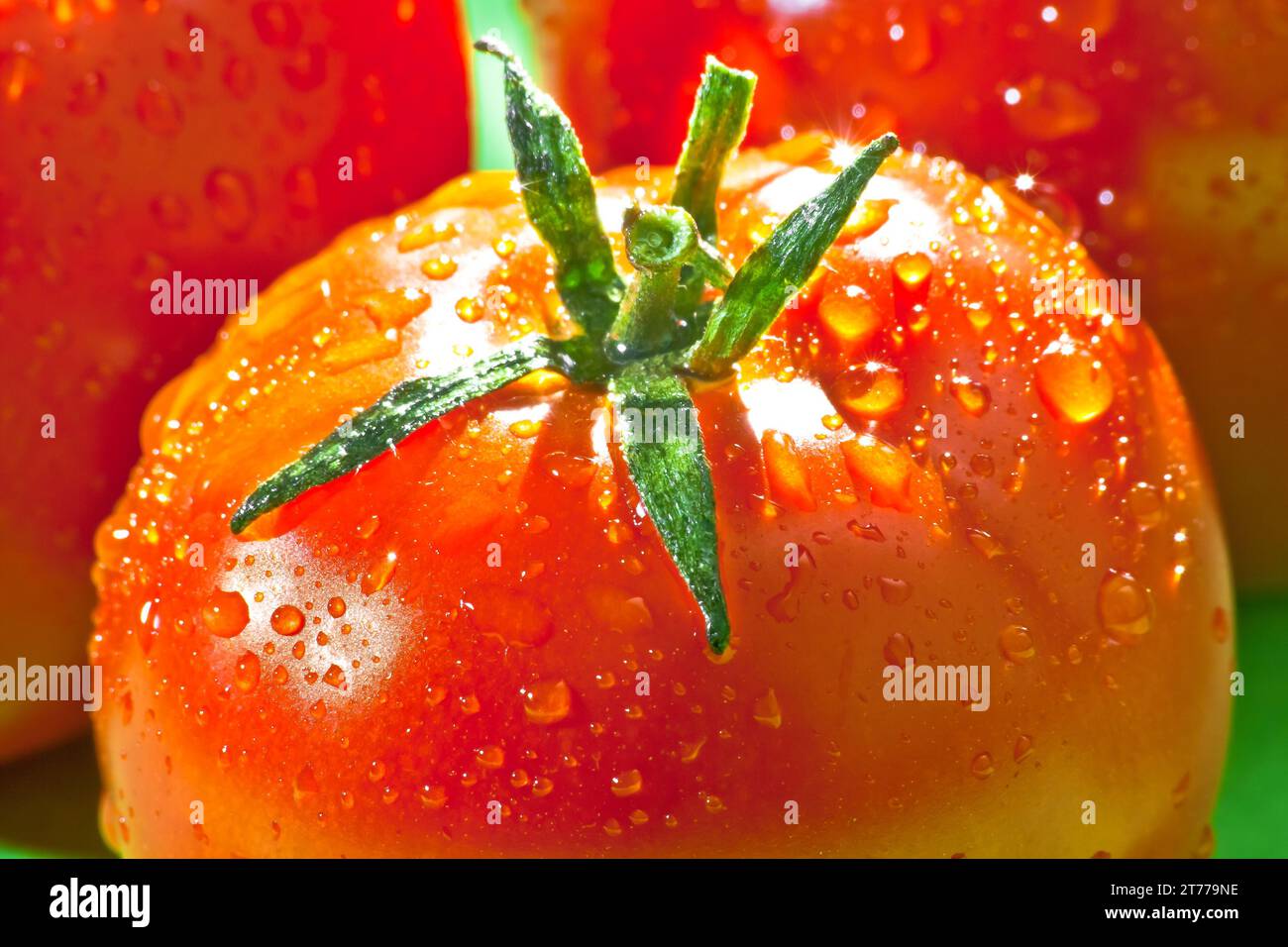 detail of fresh red tomato Stock Photo