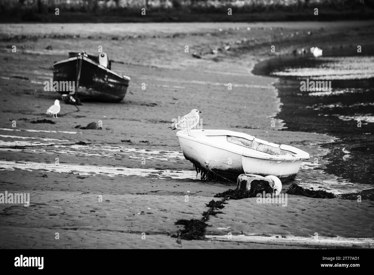 Conwy Castle North Wales Stock Photo - Alamy