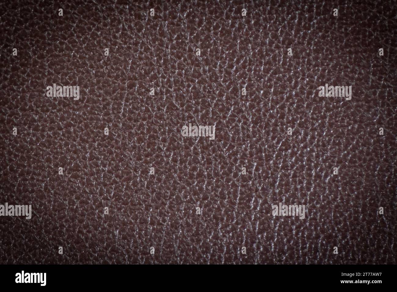 brown leather texture with blue stitching for background Stock Photo