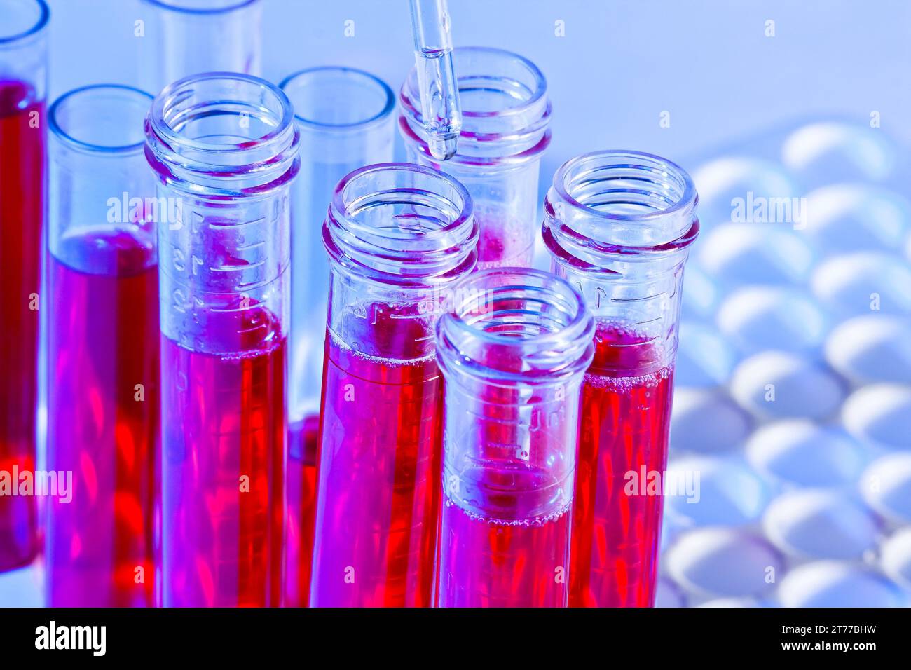 detail of pipette and test tubes with red liquid in laboratory on blue ...