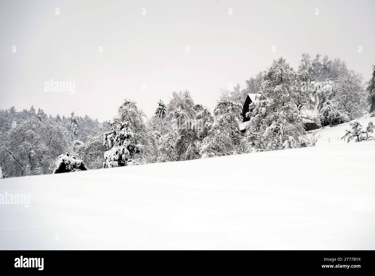 Landscape in winter season in village Urdorf in Switzerland under heavy snowfall in January 2021. Stock Photo