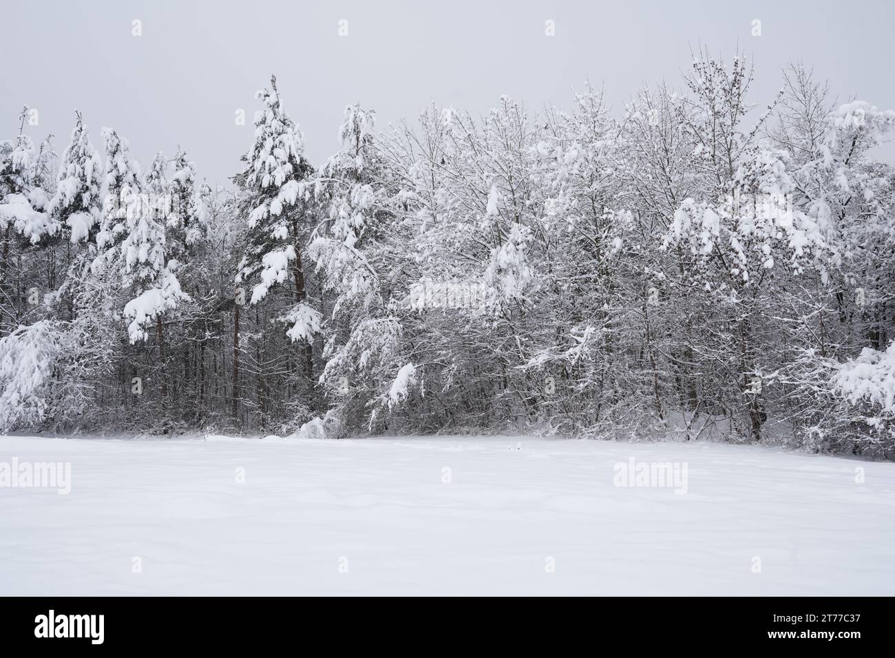 Village Urdorf in Switzerland and surrounding during winter season under heavy snowfall in January 2021. Stock Photo
