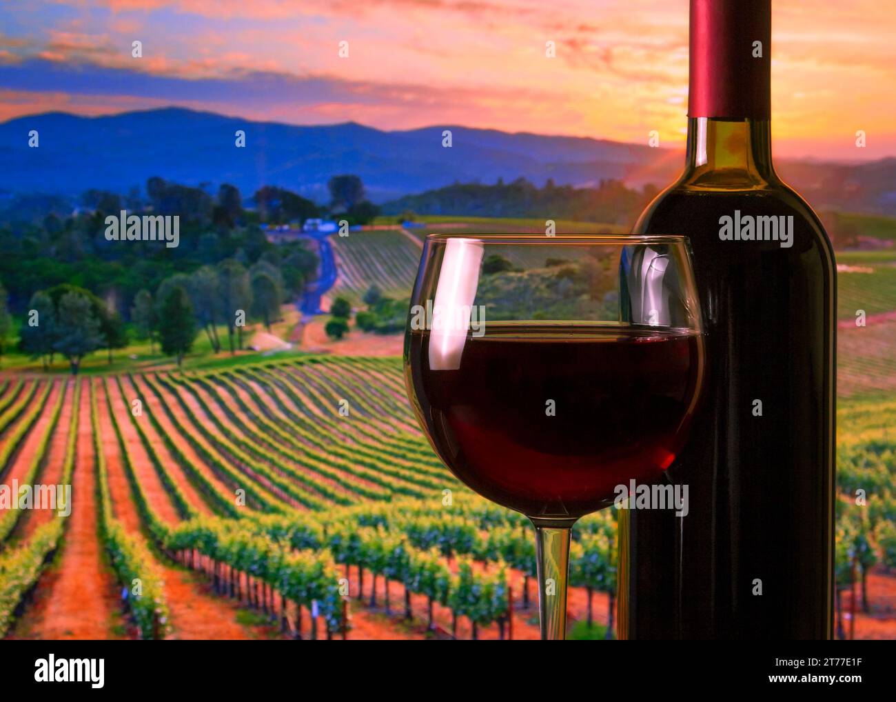 glass with red wine and bottle on the vineyards background, atmosphere sunset Stock Photo