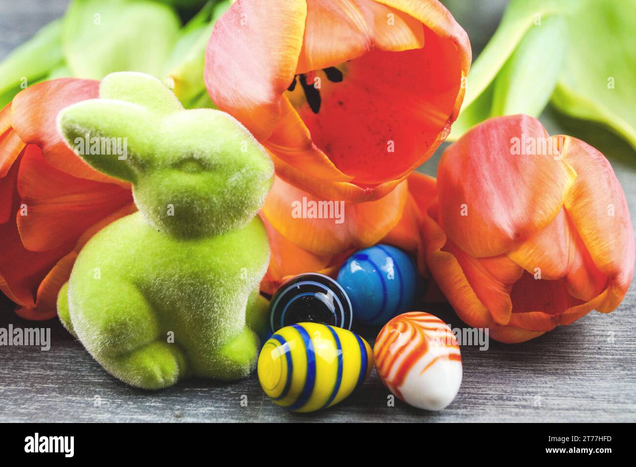 green Easter bunny with Easter eggs and tulips on gray background Stock ...