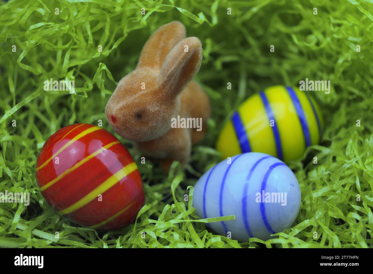 Easter bunny with Easter eggs in Easter nest Stock Photo