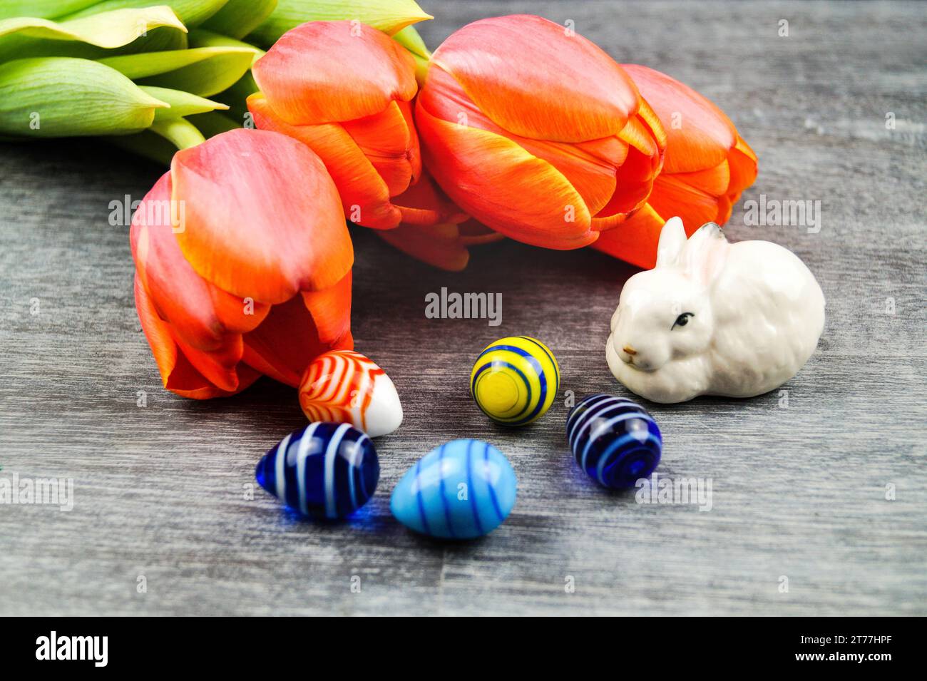 Easter bunny with Easter eggs and tulips on gray background Stock Photo