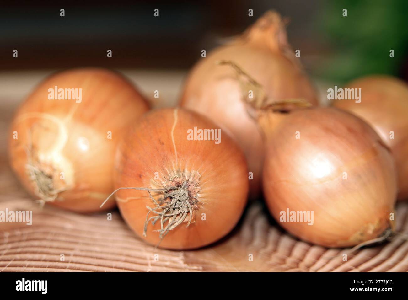 Garden onion, Bulb Onion, Common Onion (Allium cepa), onions in a basket Stock Photo