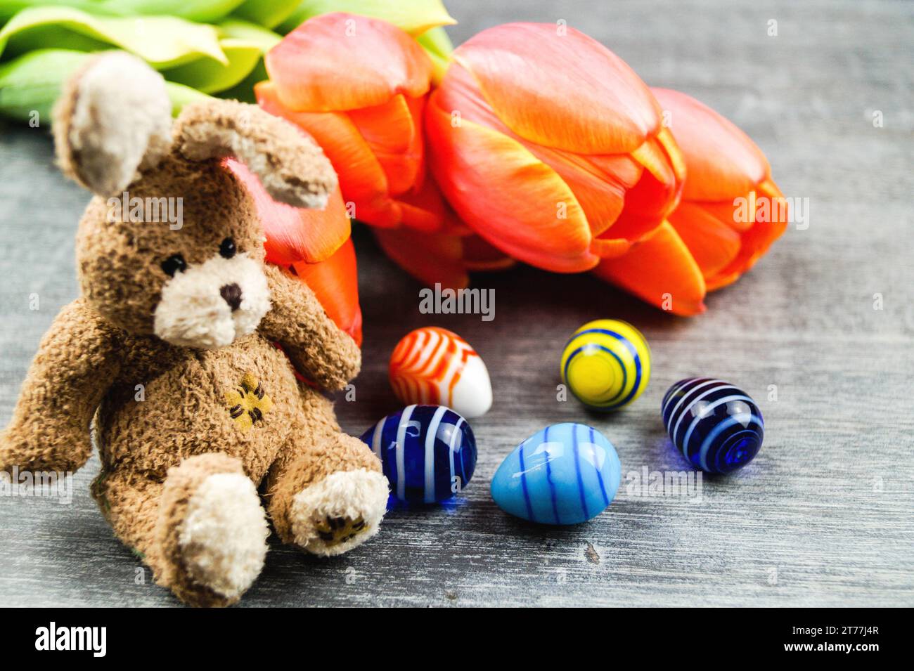 Easter bunny with Easter eggs and tulips on gray background Stock Photo ...