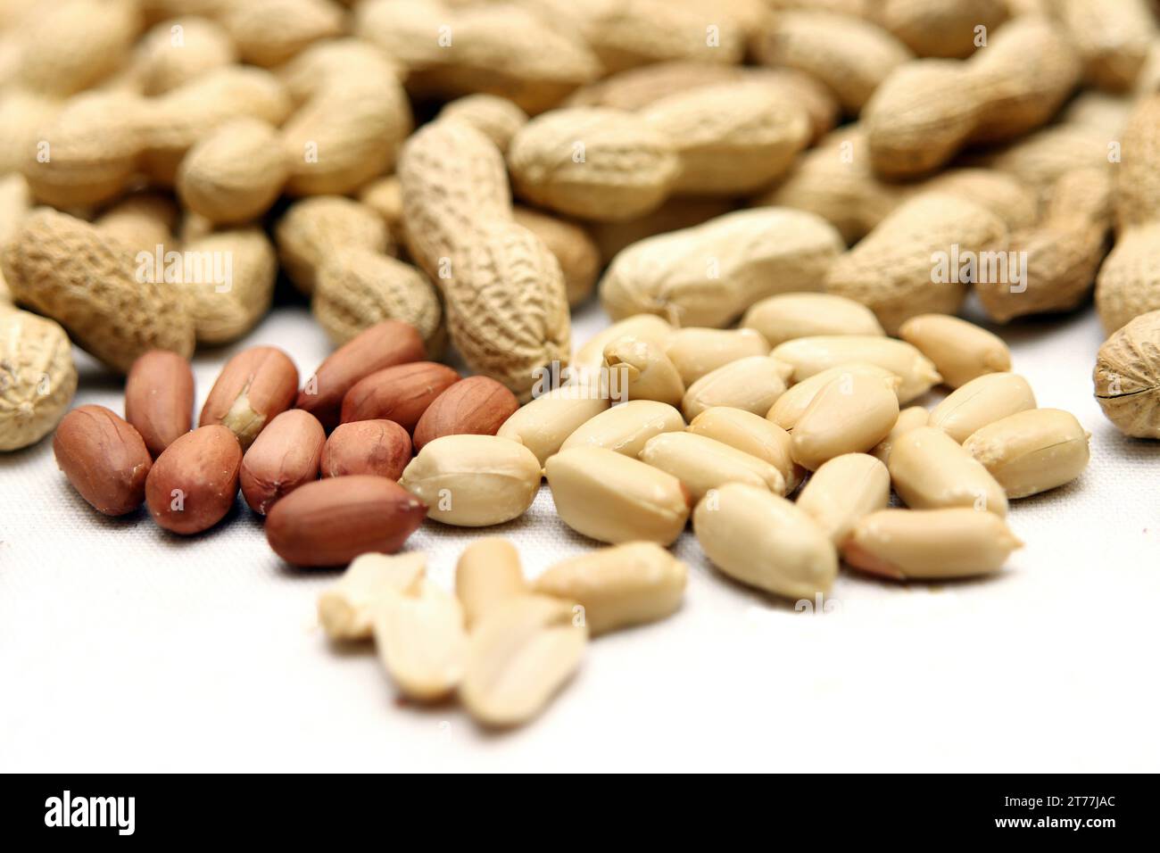 ground-nut, peanut (Arachis hypogaea), cracked peanuts Stock Photo