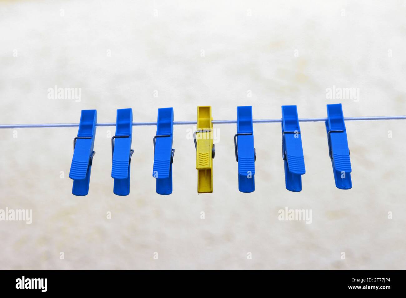 blue clothespins and a single yellow one on clothesline Stock Photo Alamy
