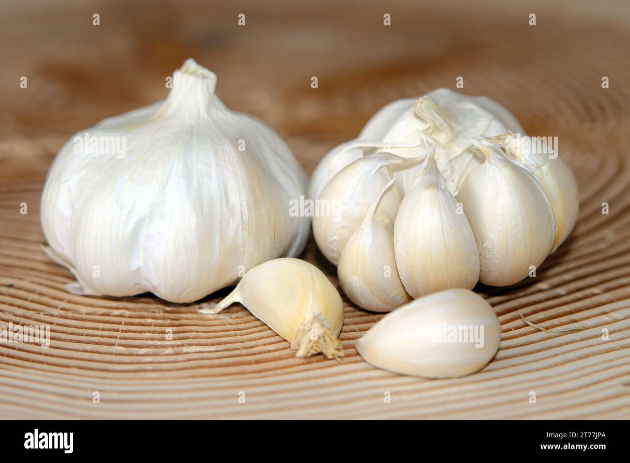 common garlic (Allium sativum), garlic in a basket Stock Photo