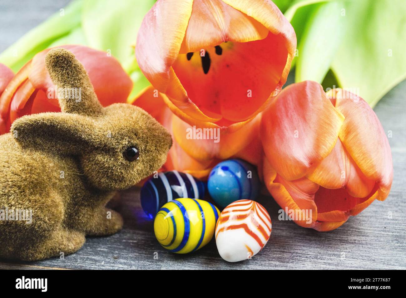 Easter bunny with Easter eggs and tulips on gray background Stock Photo ...