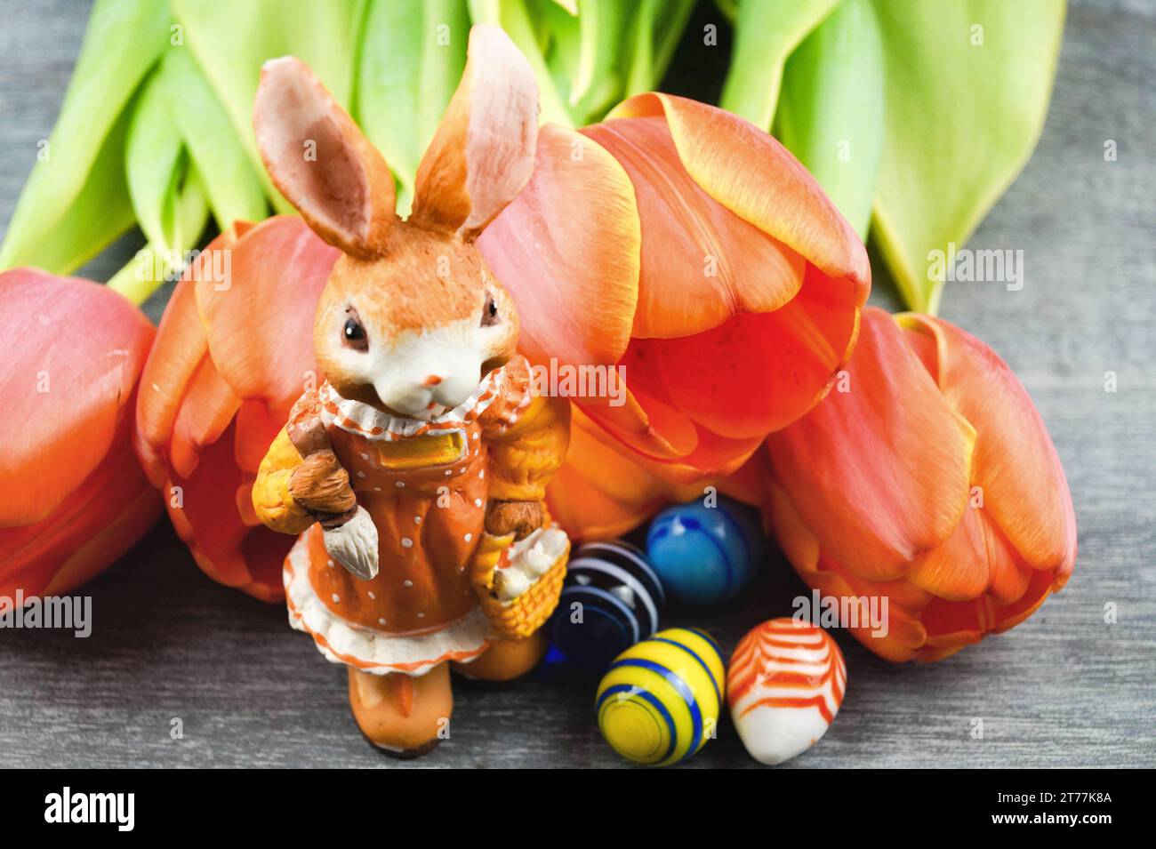 female Easter bunny with Easter eggs and tulips on gray background ...