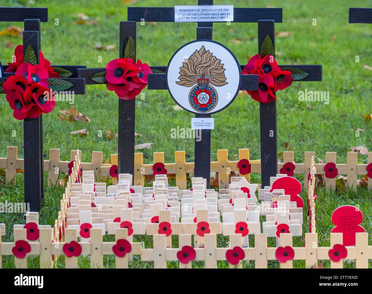 Remembrance day poppy london hi-res stock photography and images