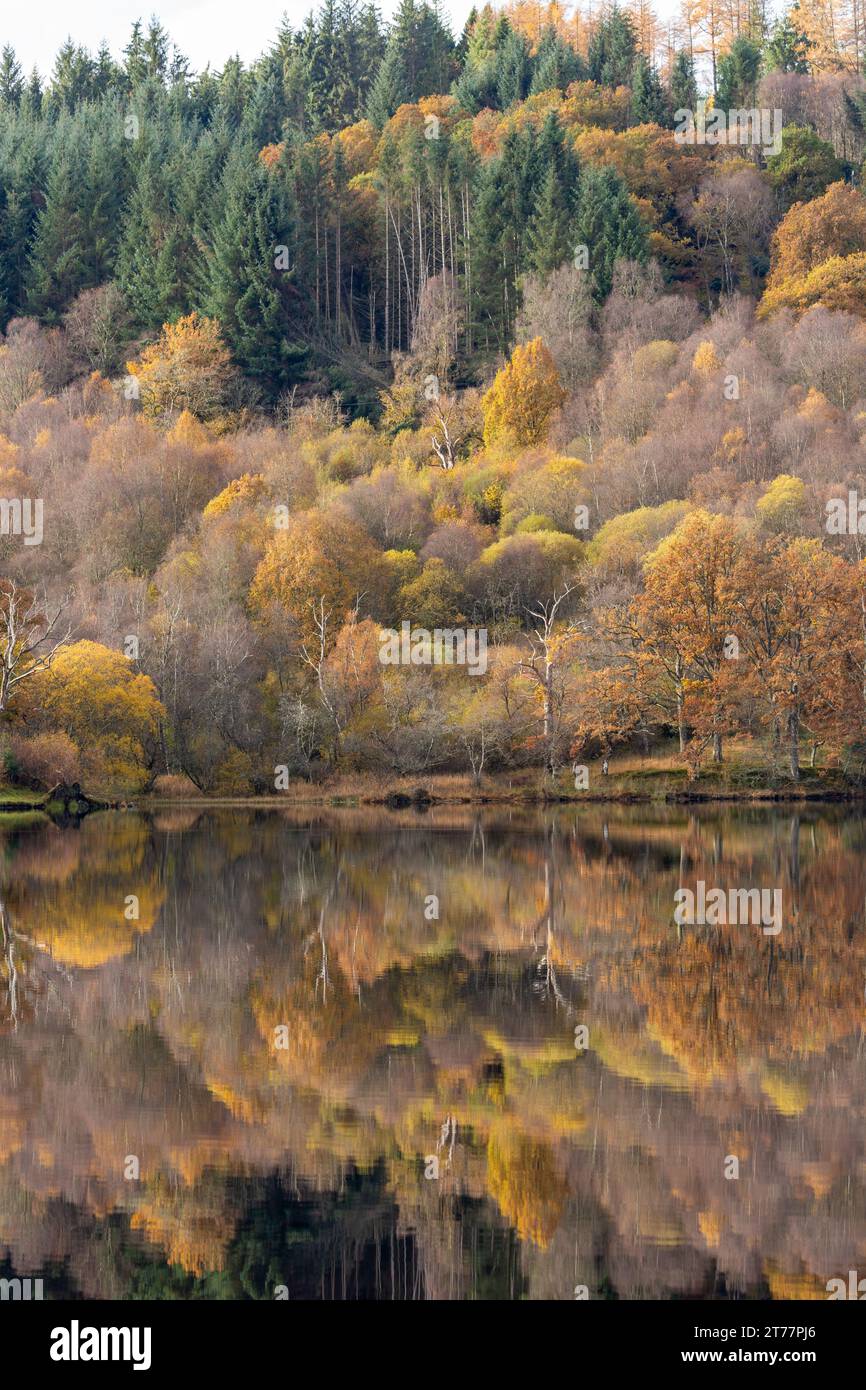 Beautiful Autumn colours on Loch Ard in the Trossachs National Park, Scotland Stock Photo