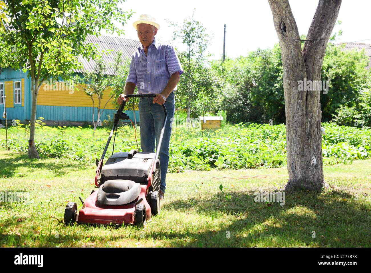 Elderly man with a lawn mower while mowing the lawn Stock Photo Alamy
