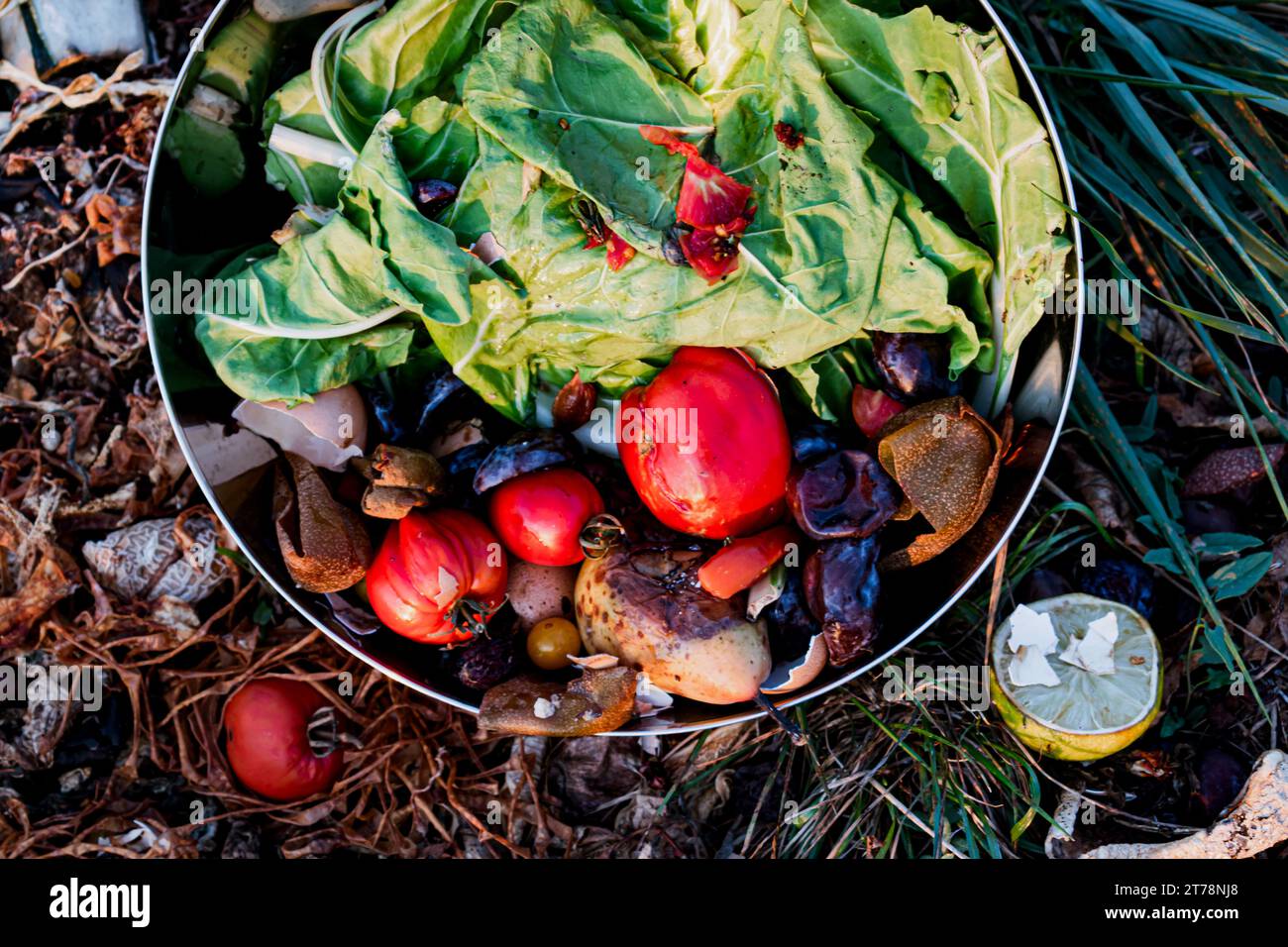 Compost pile, organic waste, biodegradable waste like