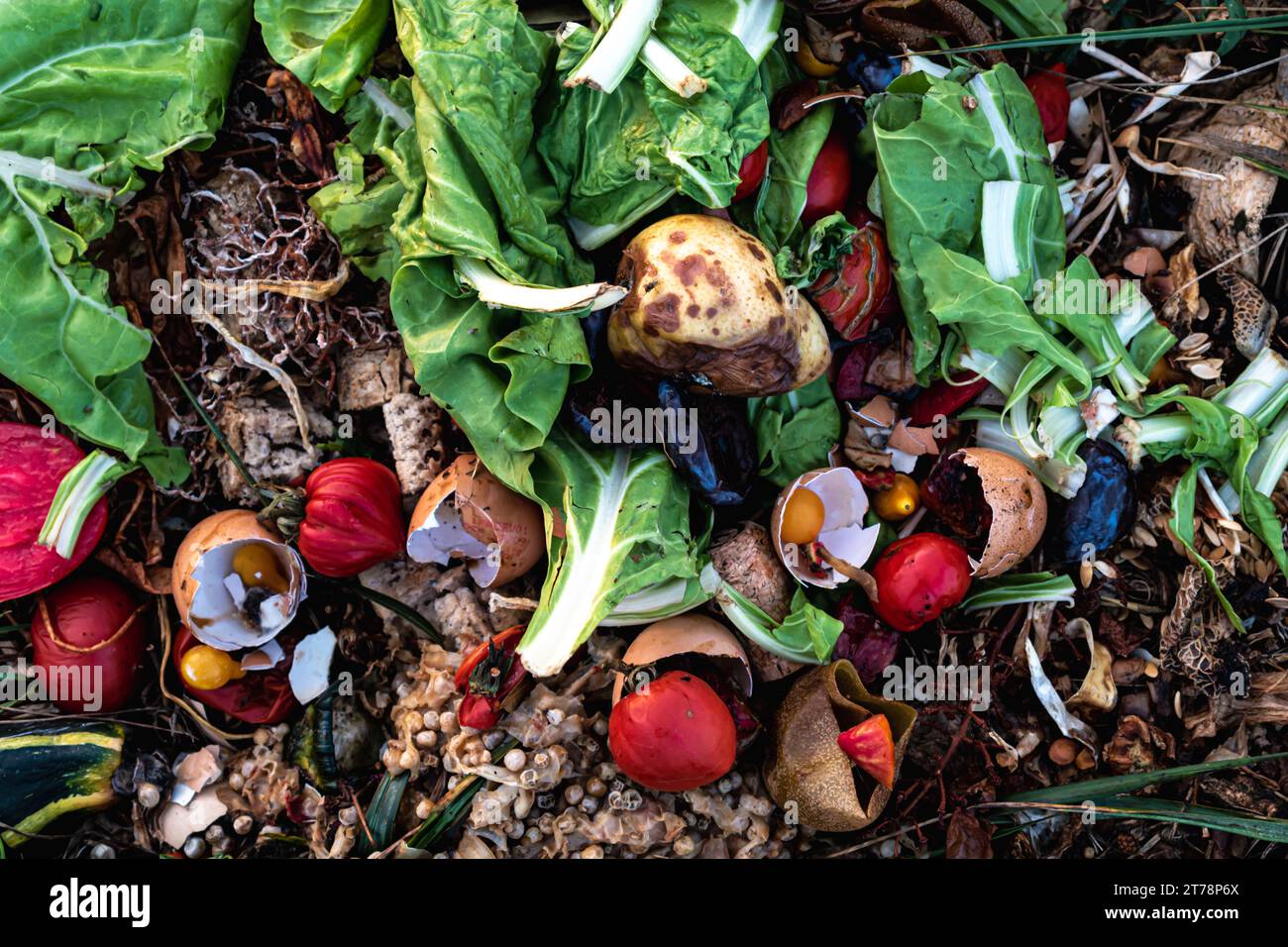 Compost pile, organic waste, biodegradable waste like