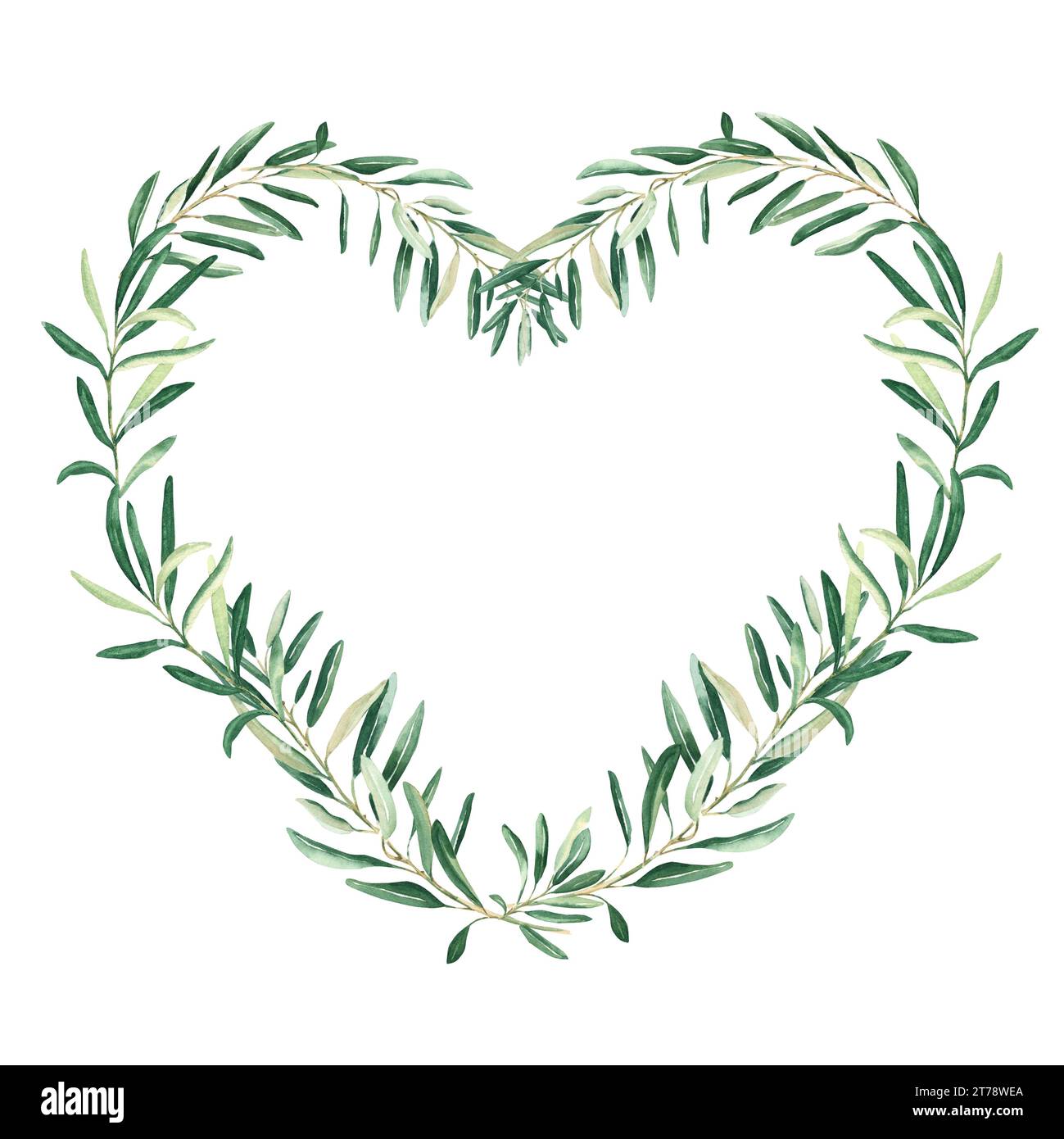 Watercolor olive heart shaped wreath. Isolated on white background ...