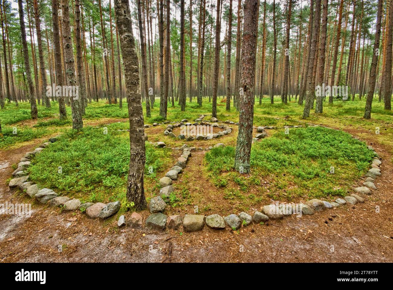 Wielbark culture, neolithic stone circles created by Goths (Geats) at Grzybnicki Forest preserve near Koszalin, Pomerania, Poland Stock Photo