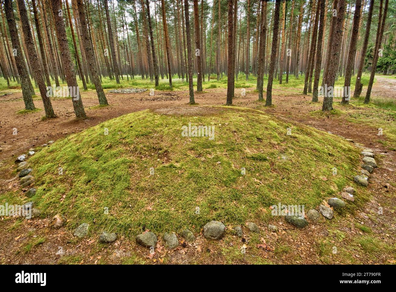 Kurgan, Wielbark culture neolithic burial mound created by Goths (Geats) at Grzybnicki Forest stone circles preserve near Koszalin, Pomerania, Poland Stock Photo