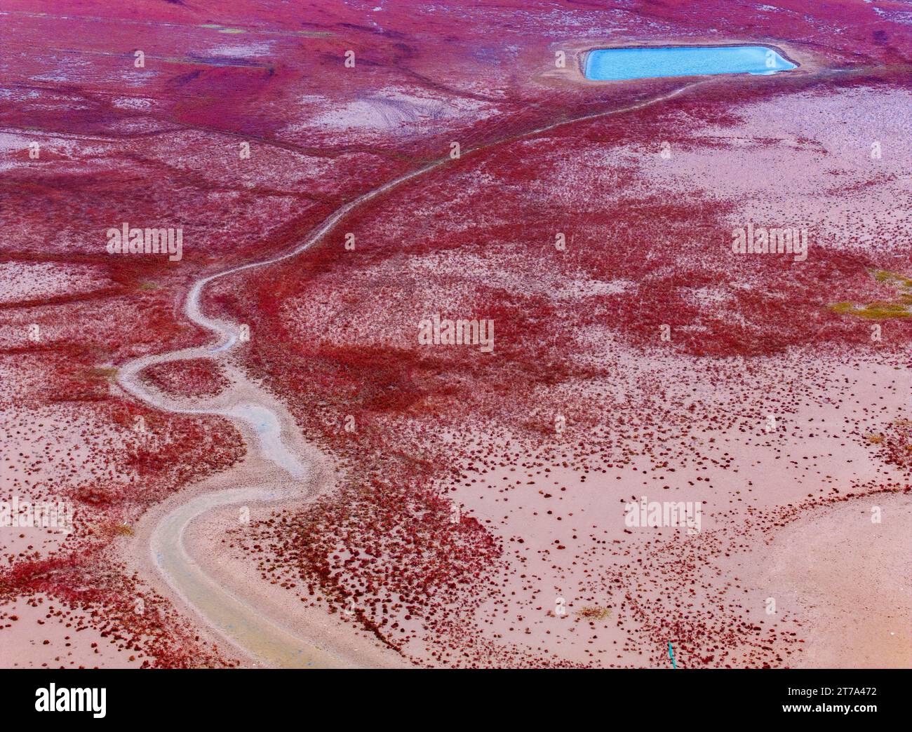 Yancheng, China. 14th Nov, 2023. YANCHENG, CHINA - NOVEMBER 13, 2023 ...