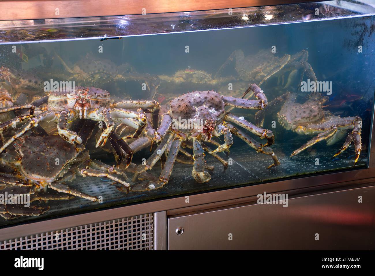 the fallen King crabs- the blacklisted Kings Stock Photo