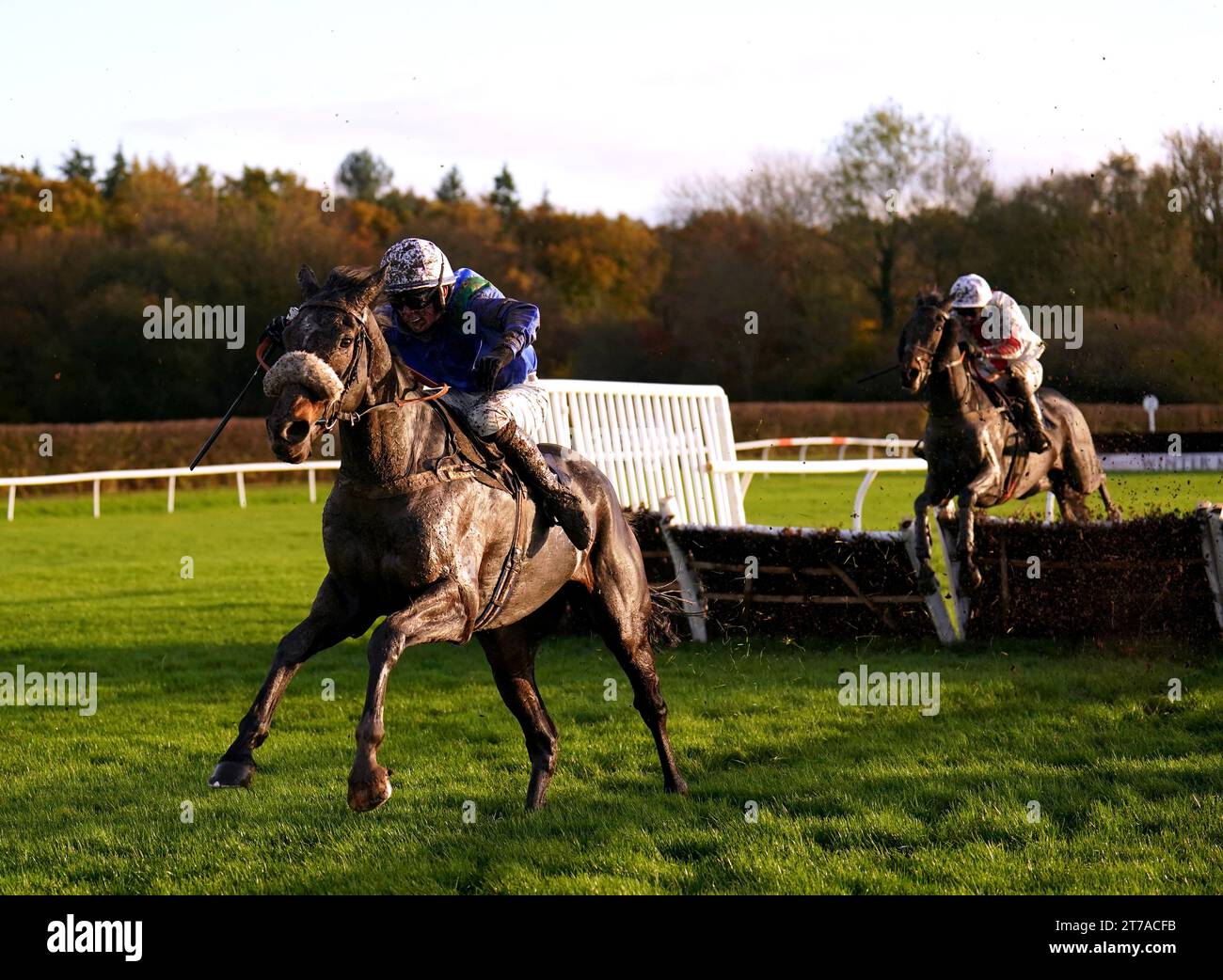 Horse racing lingfield park races hi-res stock photography and images -  Page 8 - Alamy