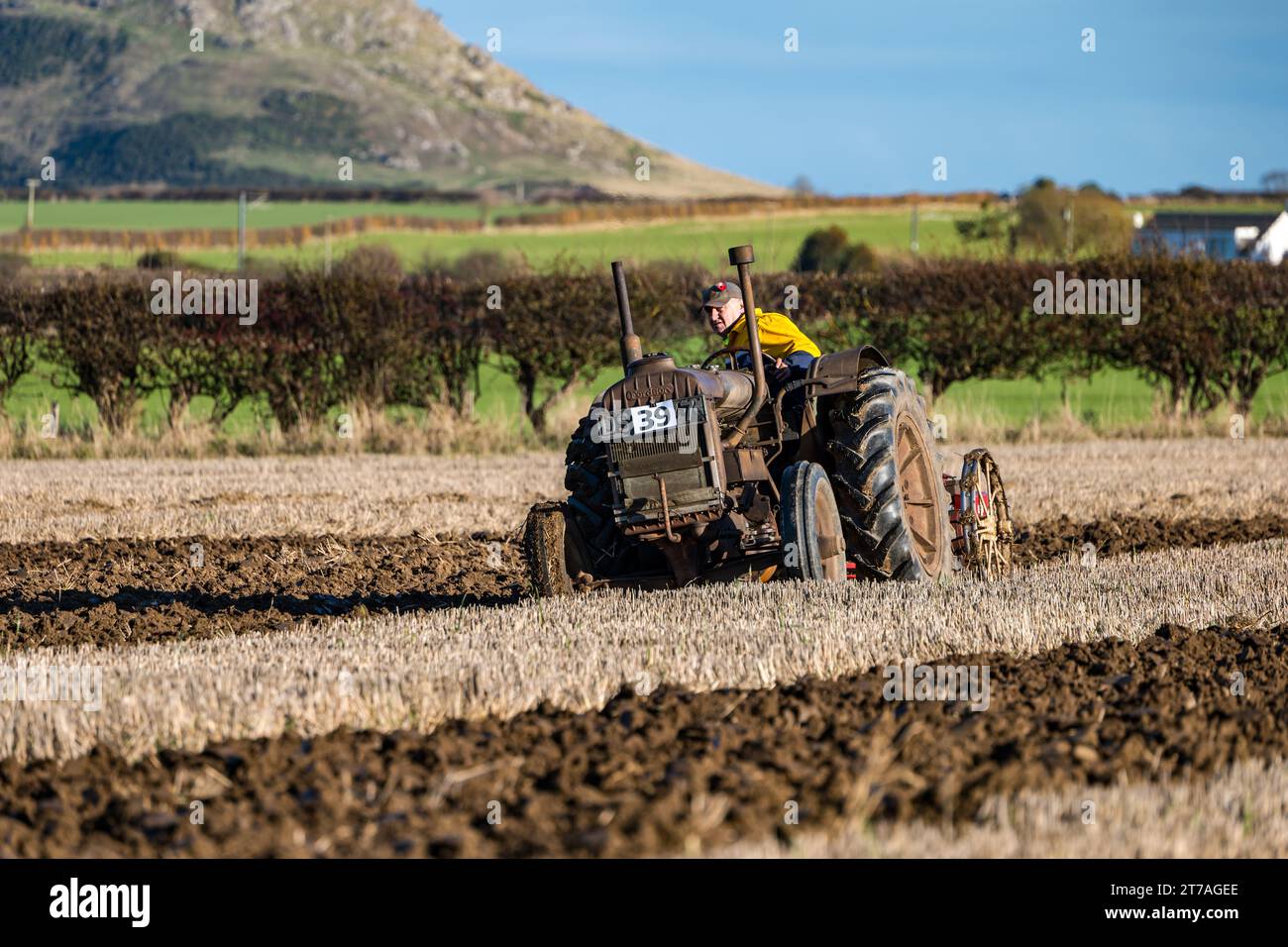 Vintage Fordson tractor ploughing furrows in ploughing match, East Lothian, Scotland, UK Stock Photo
