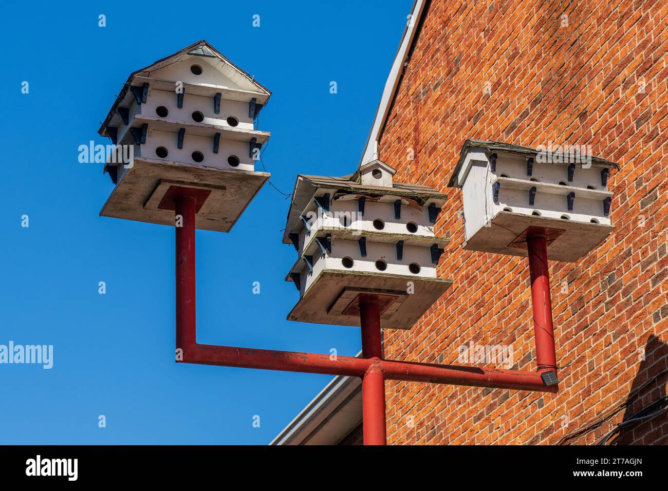 multi story bird houses on a post next to a red brick house Purple Martins nest in colonies and prefer houses with multiple rooms Stock Photo