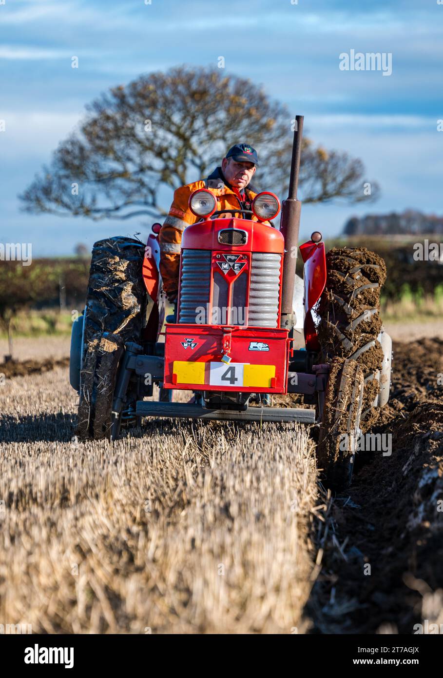 Vintage Massey Ferguson tractor ploughing furrows in ploughing match, East Lothian, Scotland, UK Stock Photo