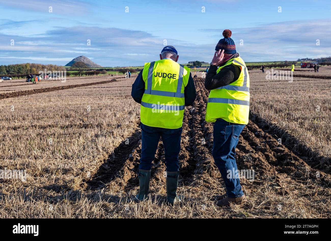 Judges marking furrows during ploughing match, East Lothian, Scotland, UK Stock Photo