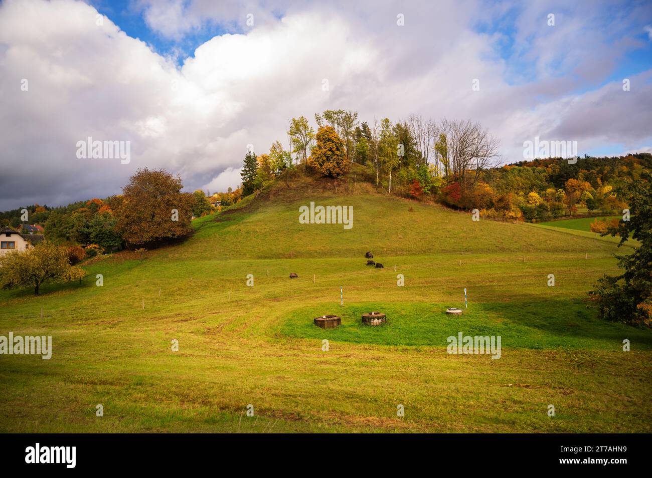 Devil's hill, morphologically conspicuous cone, extinct volcano with meadow and trree in autumn day. Koberovy, Czech Paradise, Czech republic. Stock Photo