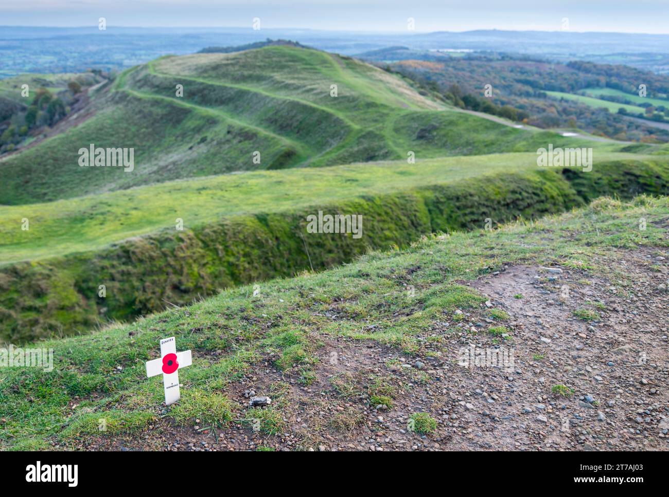 On November 11th,on Armistice day,a memorial tribute,red poppy symbol,placed in the soil atop the ancient Hill Fort,by an anonymous hill walker,at sun Stock Photo