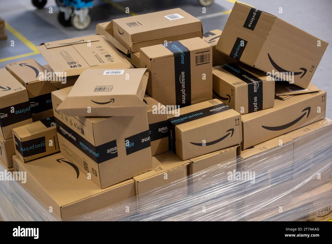 Erding, Germany. 14th Nov, 2023. Parcels lie on a pallet at the