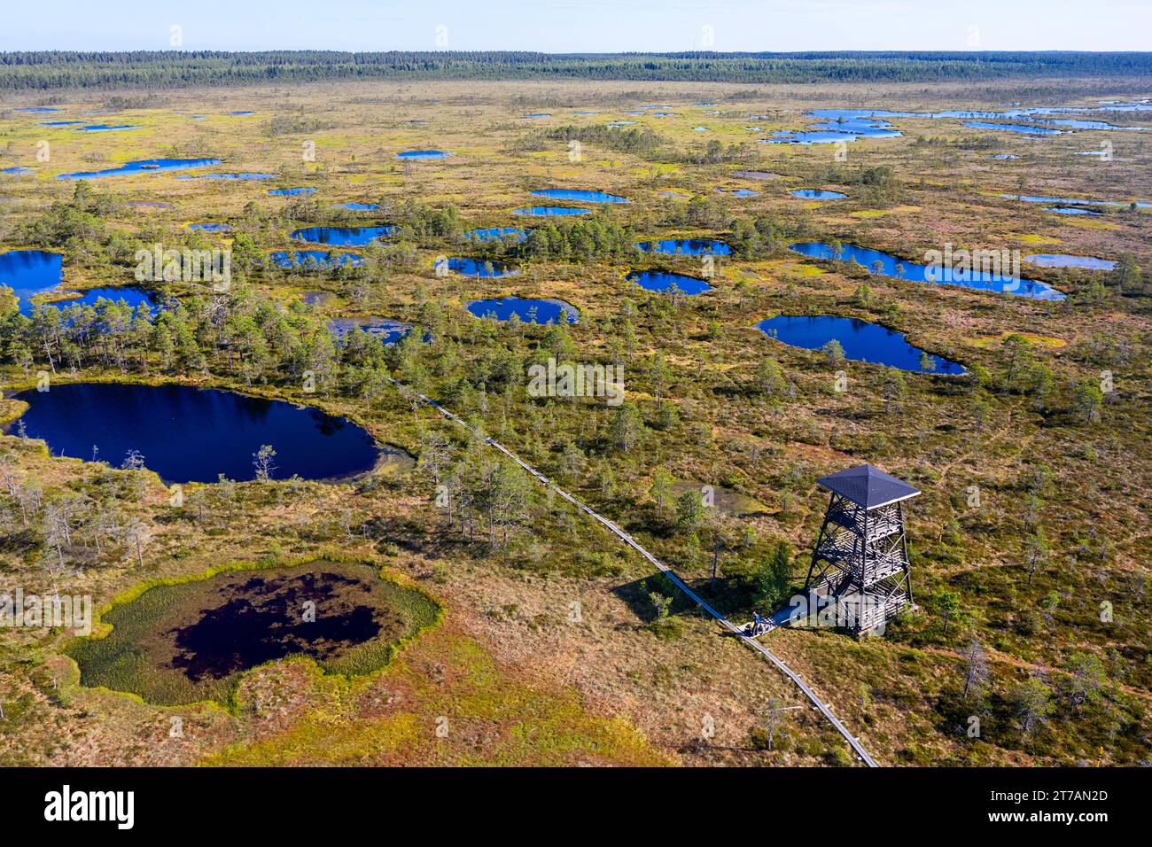 Aerial view of a Viru bog and wooden boardwalk with watchtower  surrounded with scenic ponds, lakes on a beautiful summer sunny day Estonia, Europe Stock Photo