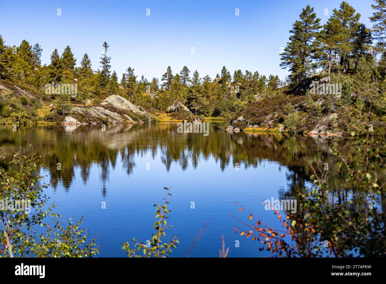 A scenic view of a lake surrounded by majestic mountain peaks and lush ...