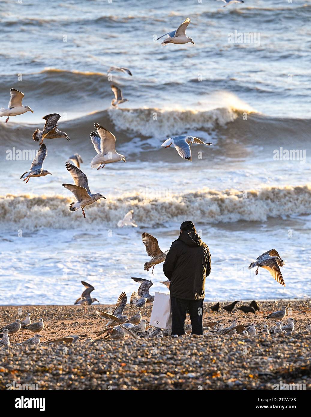 14th november 2023 hires stock photography and images Alamy