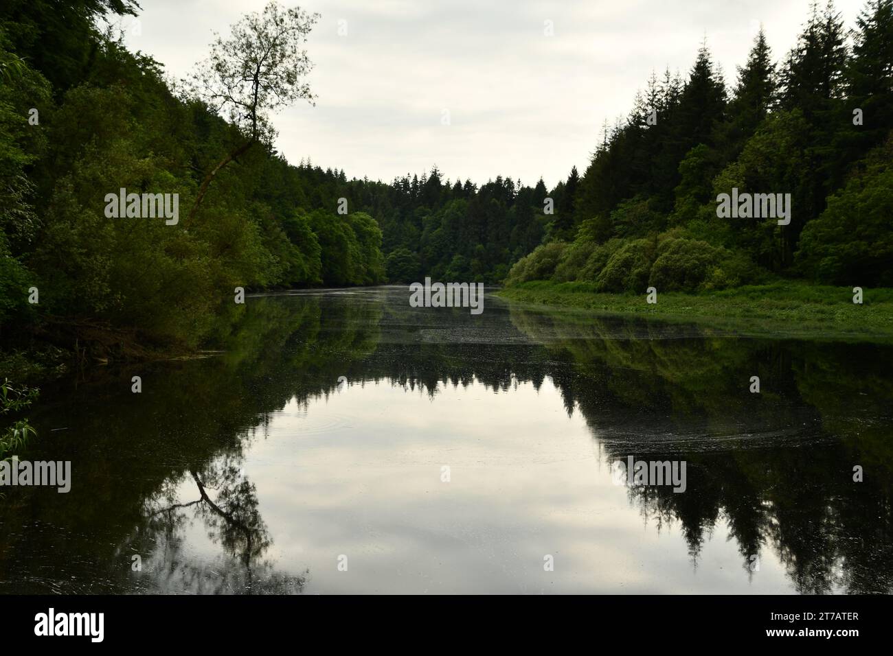 River Barrow, St. Mullins, County Carlow, Ireland Stock Photo