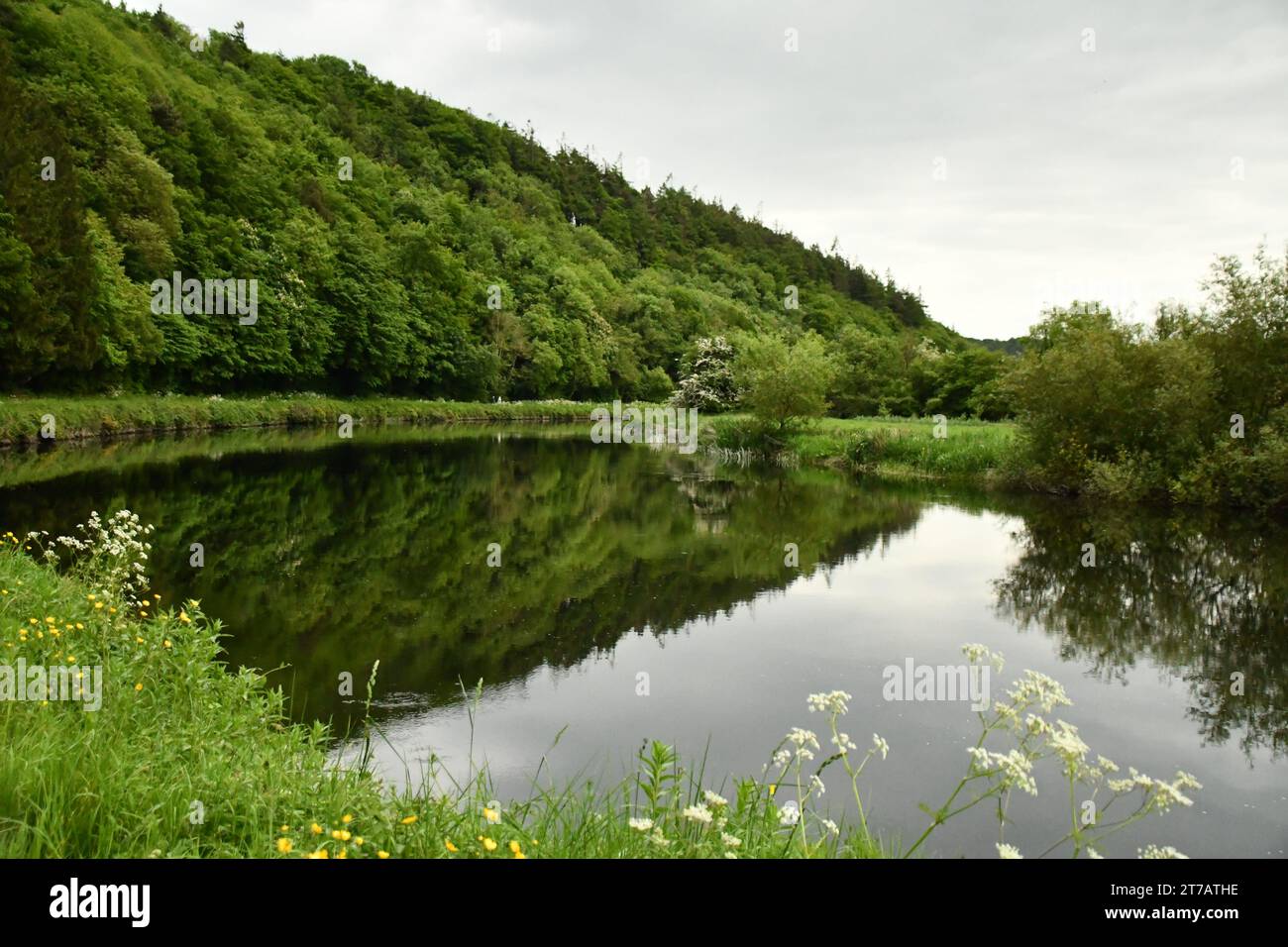 River Barrow, Graiguenamanagh, County Kilkenny, Ireland Stock Photo