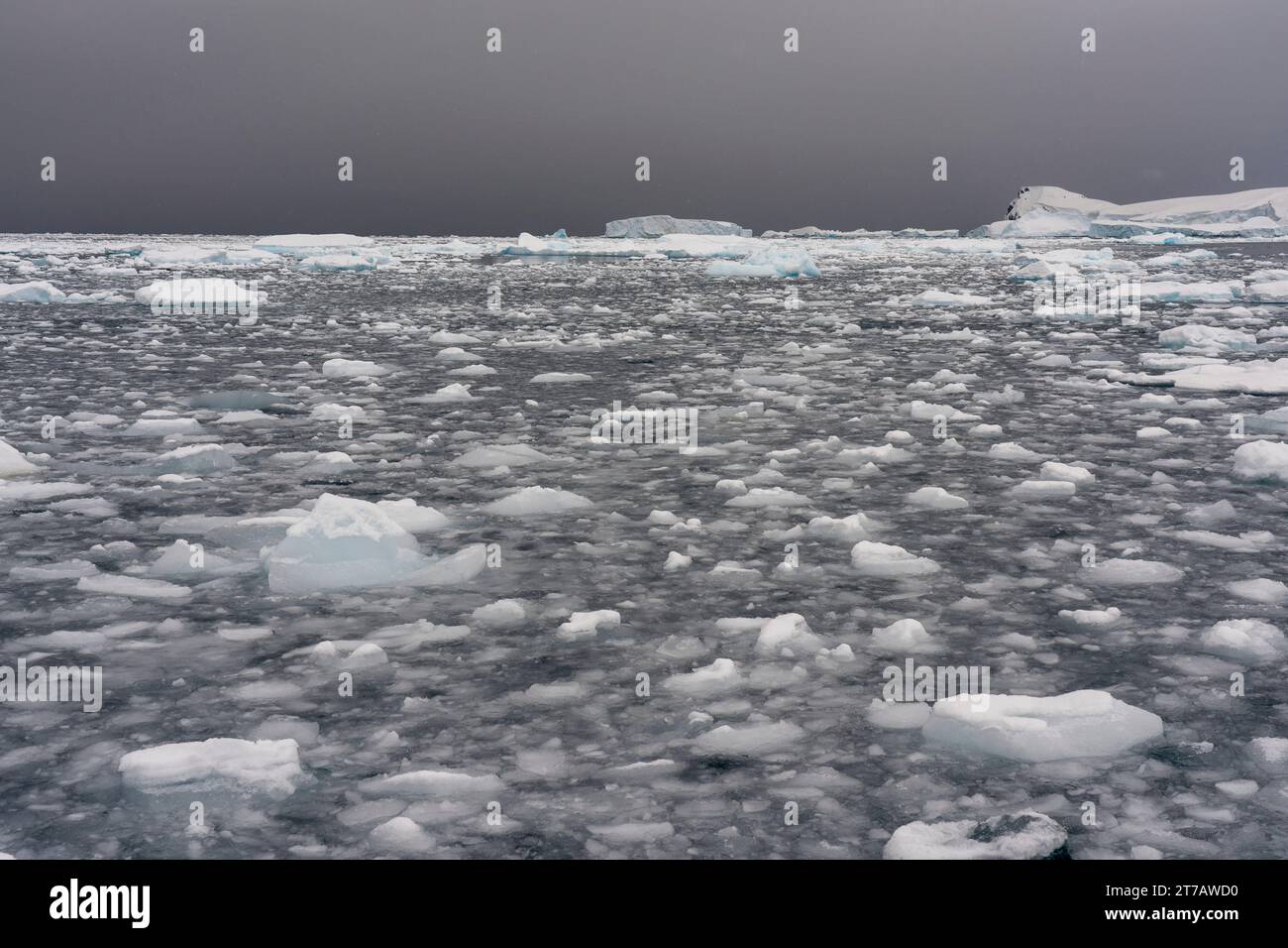 Curtiss Bay, Antarctica. Stock Photo