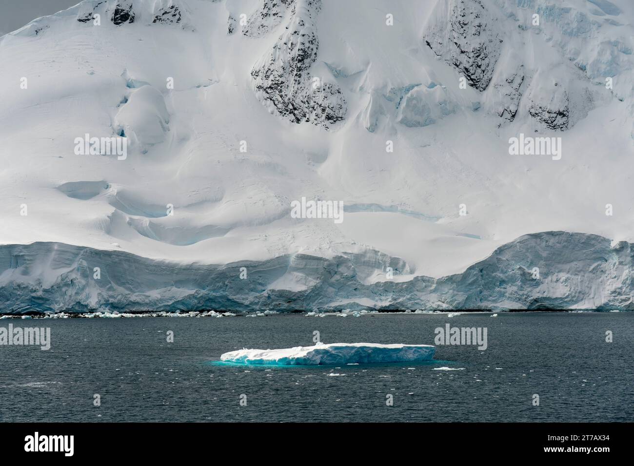 Pleneau Island, Antarctica. Stock Photo