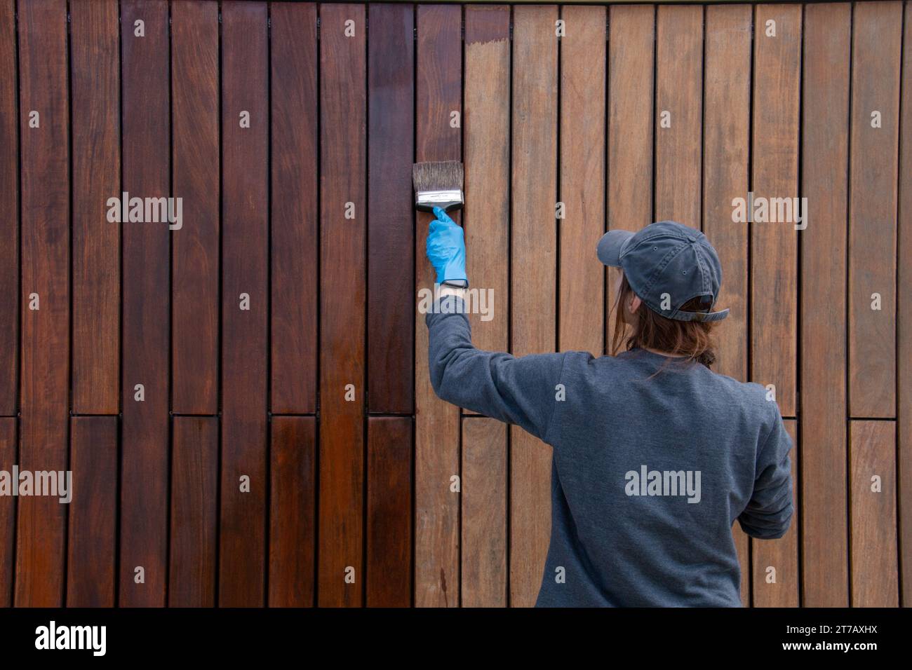 Handy woman improving house hardwood cladding with wood stain ...