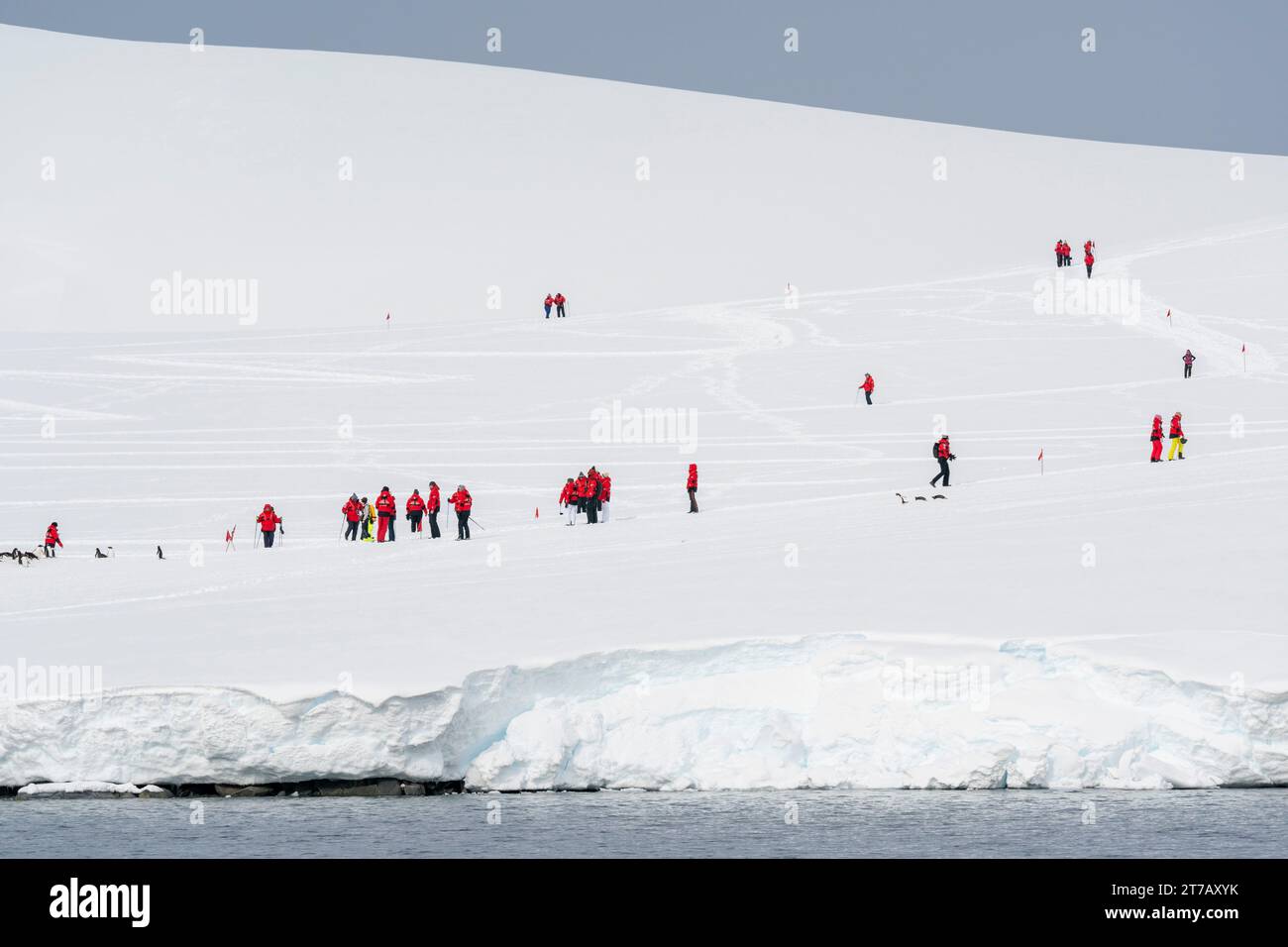 Tourists hiking at Damoy Point, Wiencke Island, Antarctica. Stock Photo