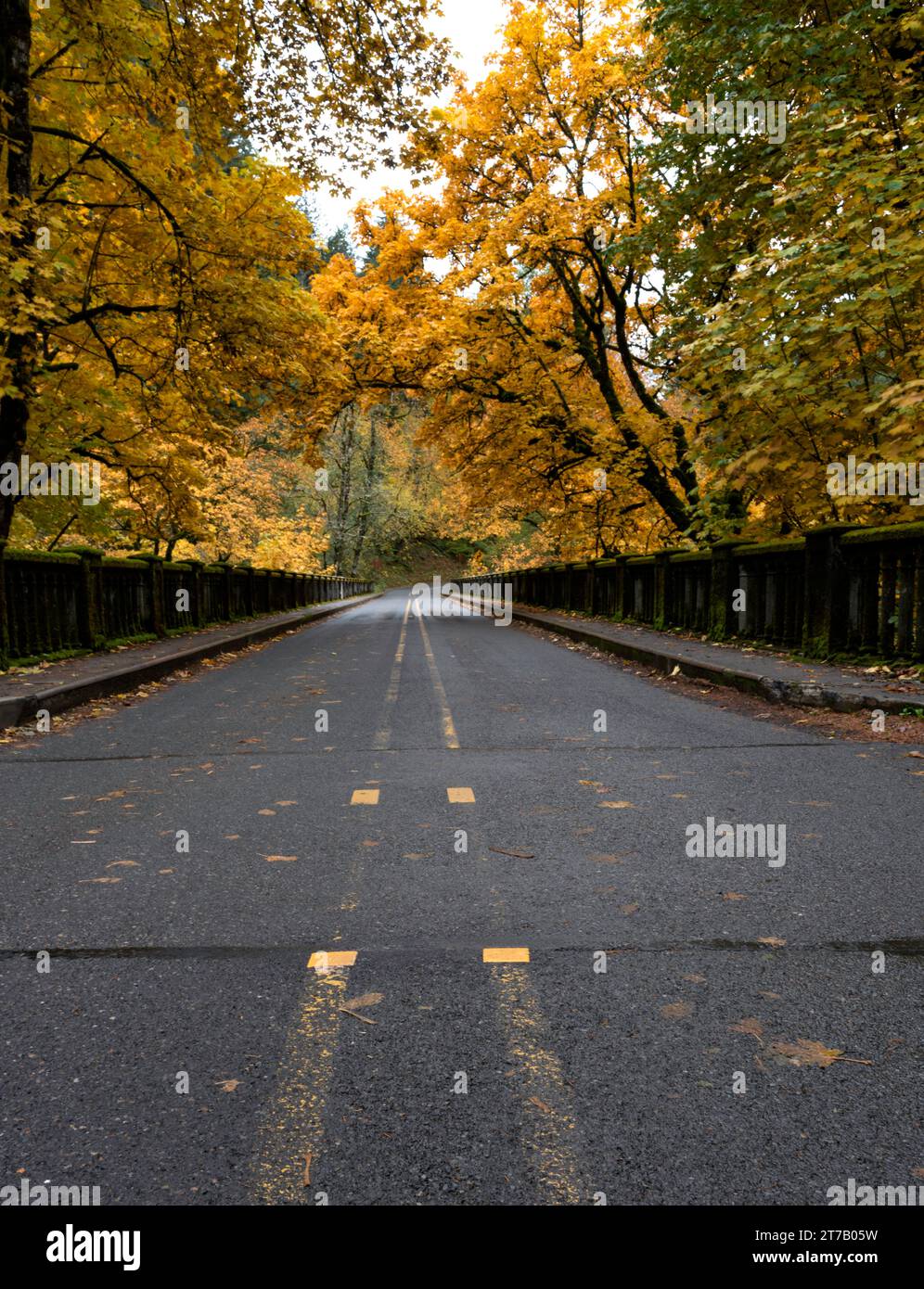 This is the Latourell Bridge on the Historic Columbia River Highway, Columbia Gorge, Oregon.  It spans Latourell Creek near the watrfall.  It was take Stock Photo