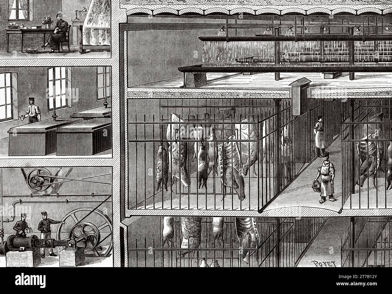 A Schroeder system cold storage warehouse. Old illustration by Louis Poyet (1846-1913) from La Nature 1887 Stock Photo